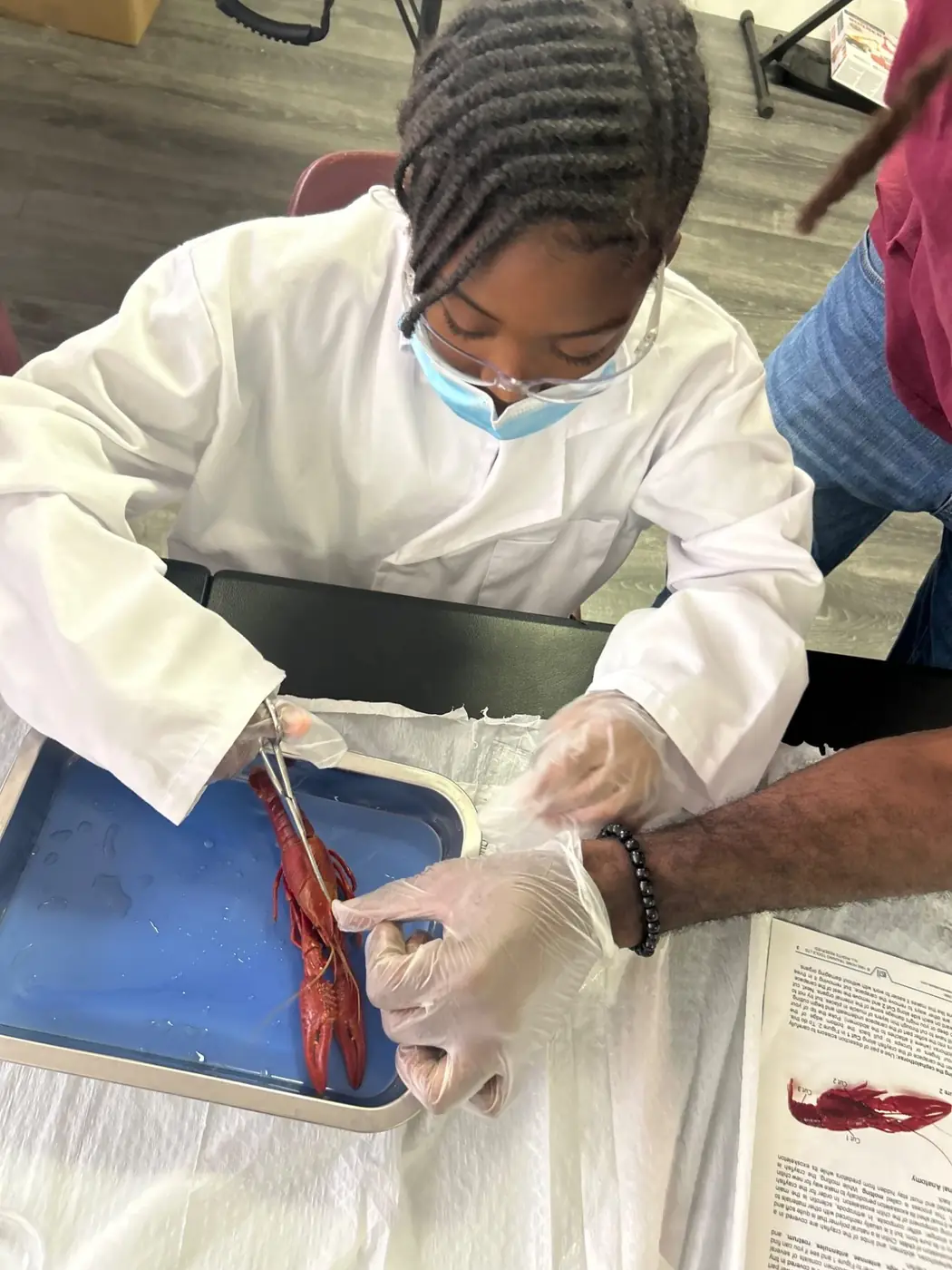Student examining a specimen during a dissection lab